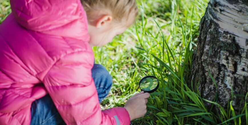 CHE MERAVIGLIA…CURIOSI DI NATURA!